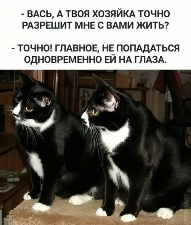 😀 #1