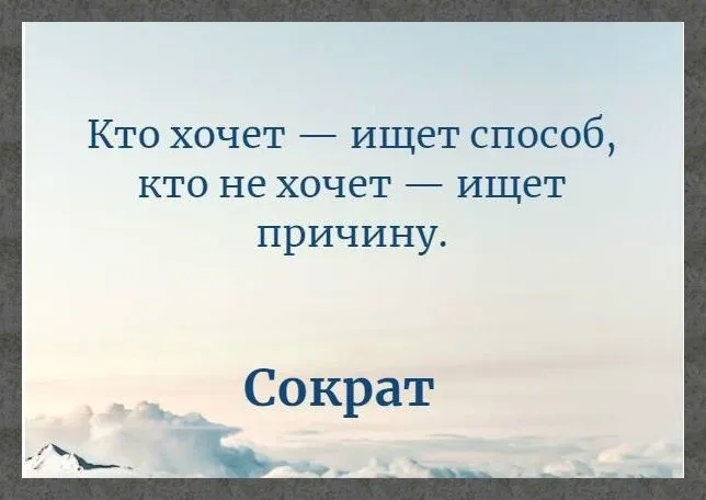 Маленькая серая птичка #1