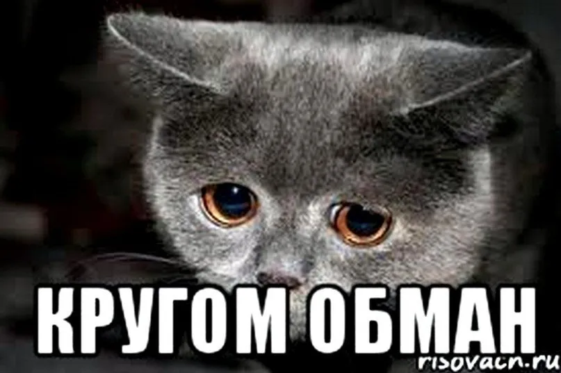 Как снимают красивые ролики  #1