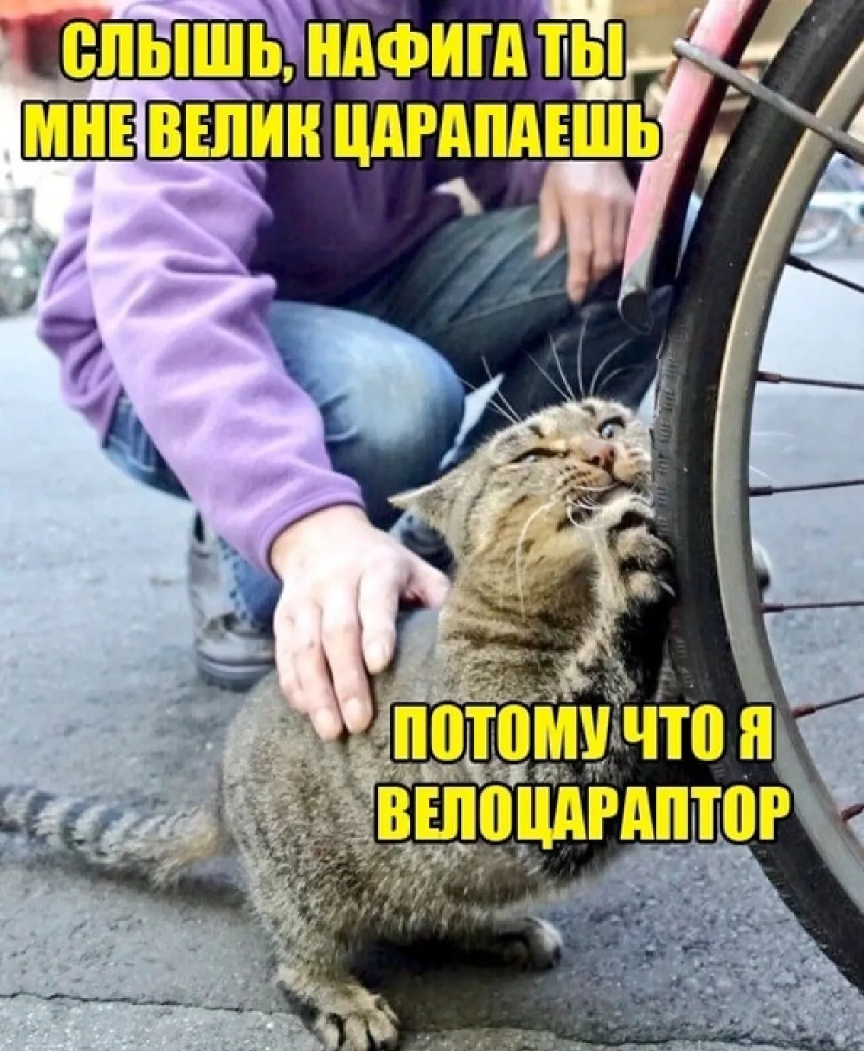 Велоцараптор 😁 #1