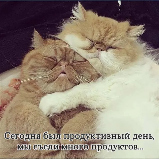 Состояние в новогодние праздники примерно такое: #1