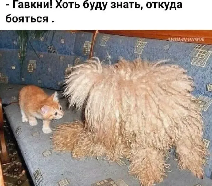 😀 #1