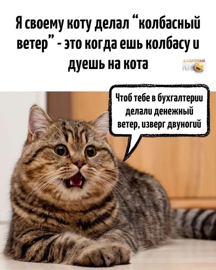 Колбасный ветер 😁 #1