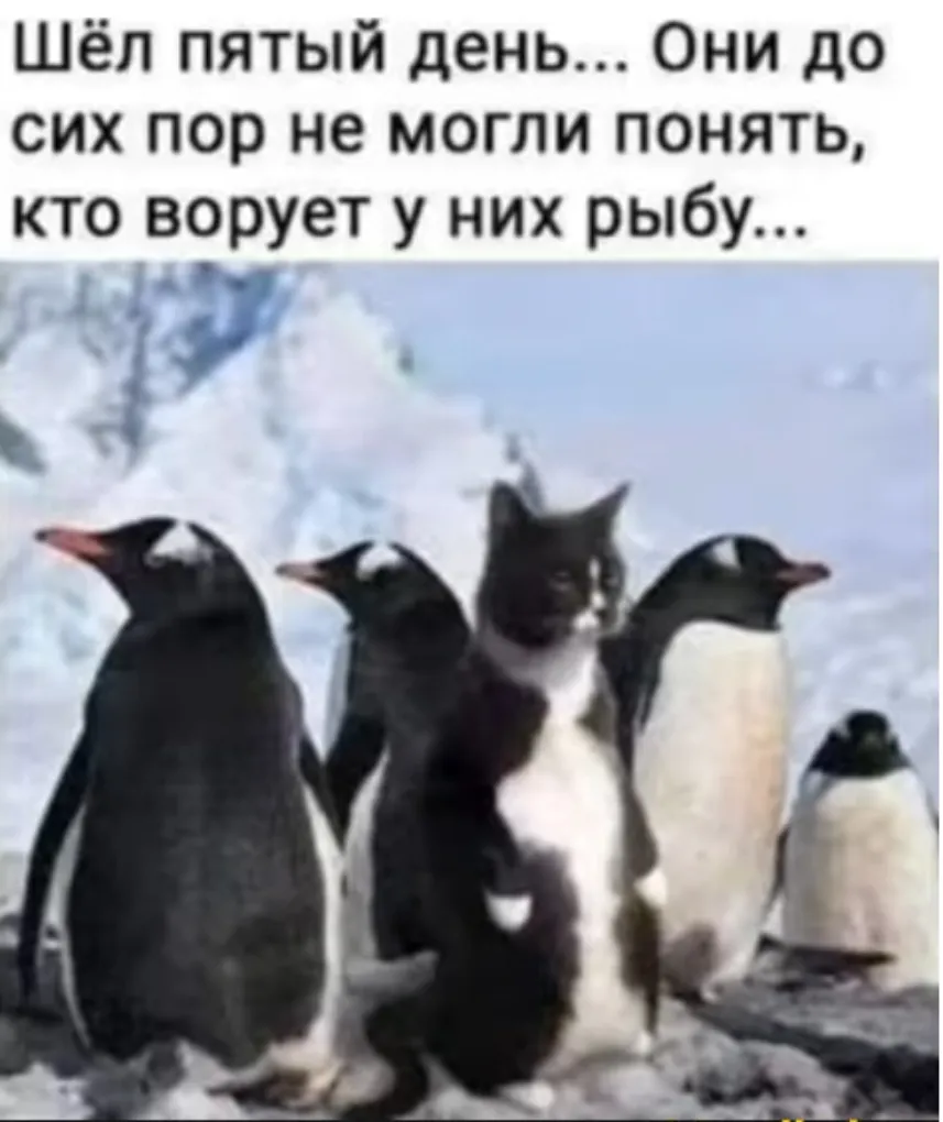 😁 #1