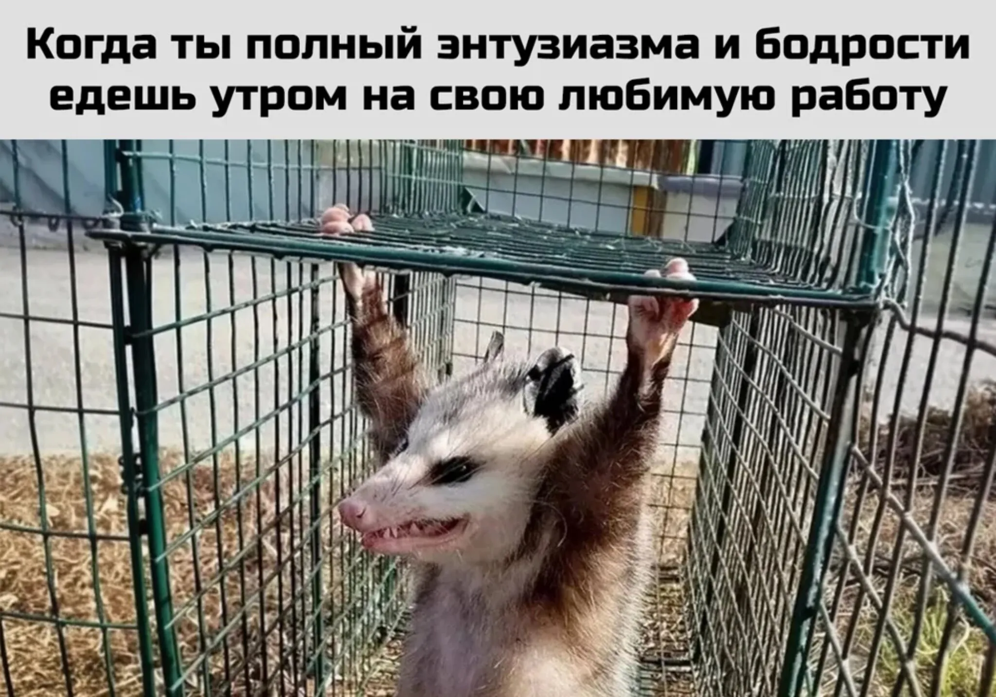 😀 #1