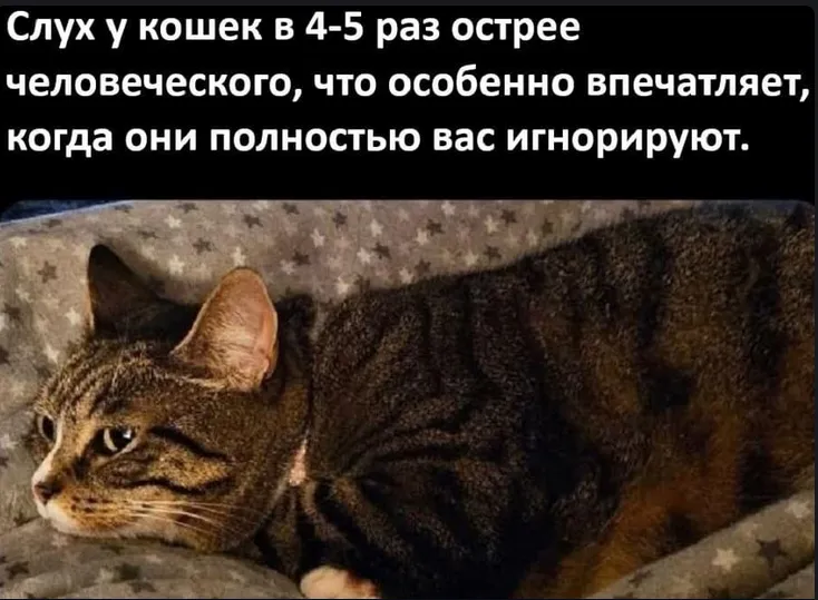 А вы знаете, что... #1