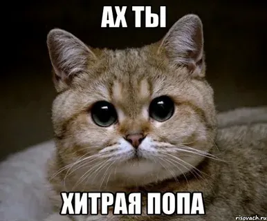 Вот это поворот!  #1