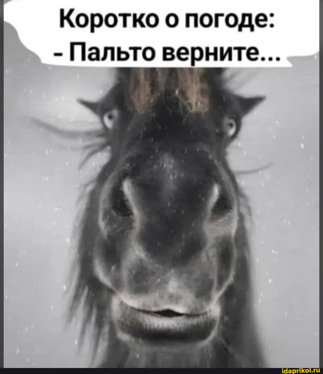 😀 #1