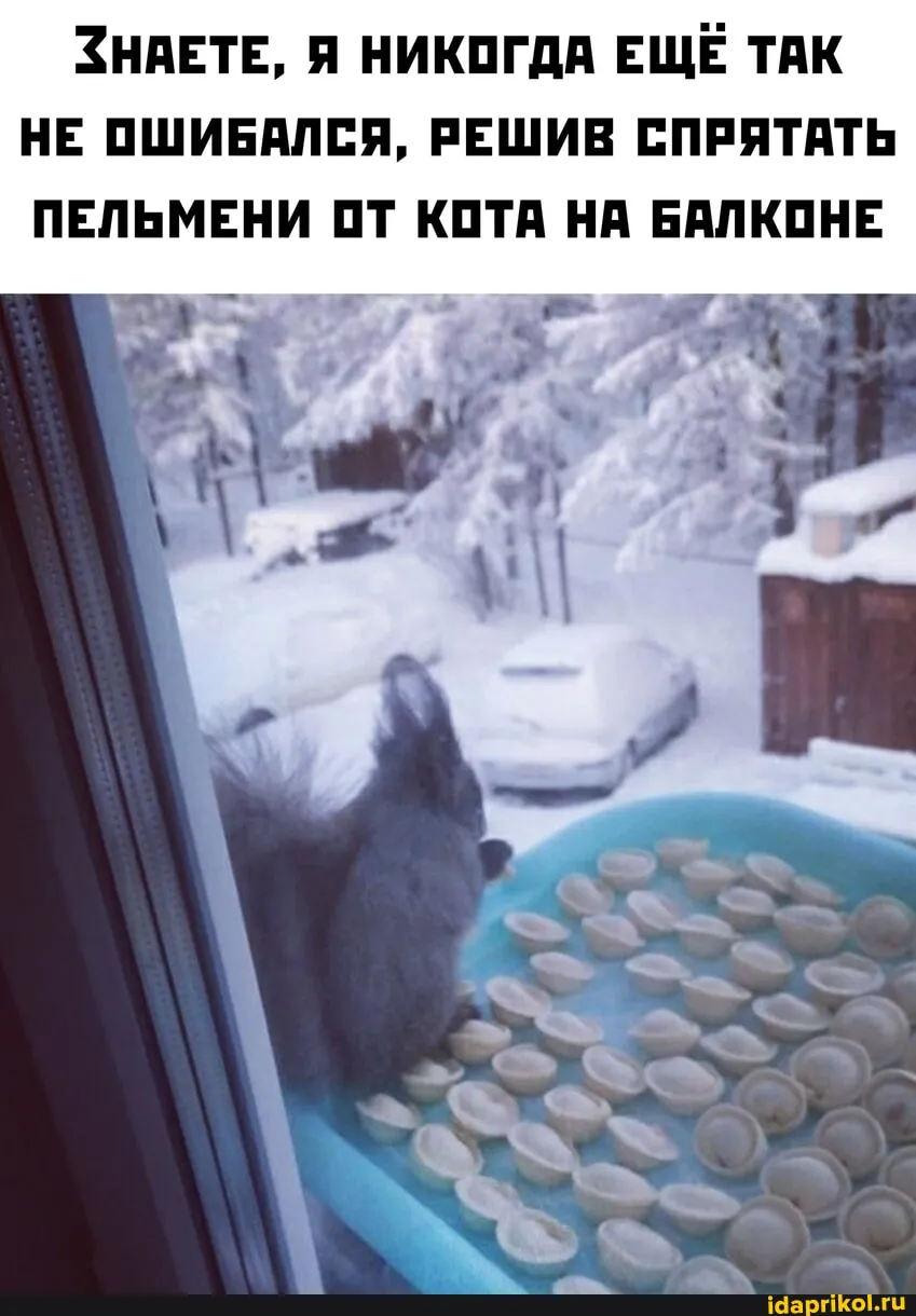 Пельмени #1