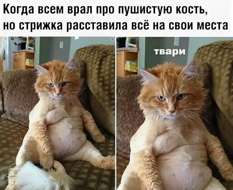 Пушистая кость 😁 #1
