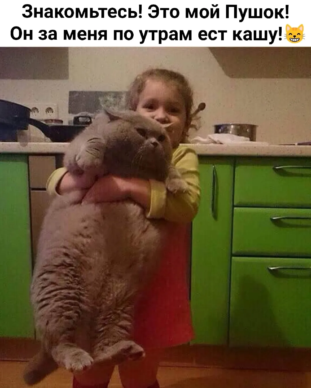 Пушок  #1