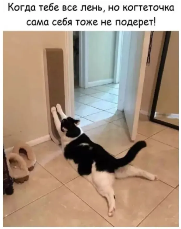 😁 #1