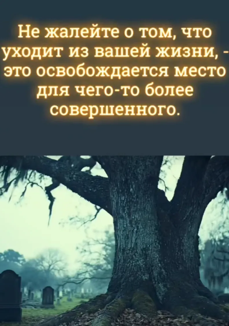 Мудрость жизни #2