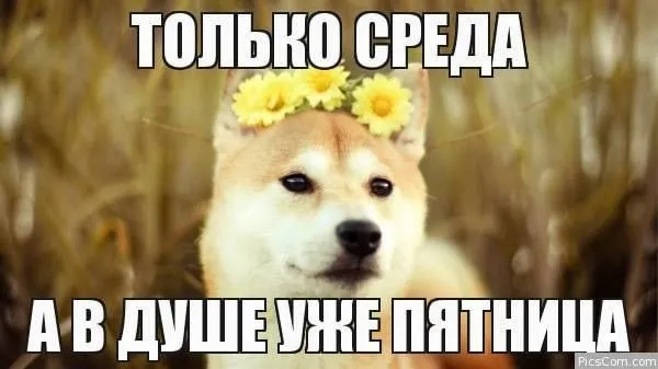 Среда: Полпути к Пятнице #2