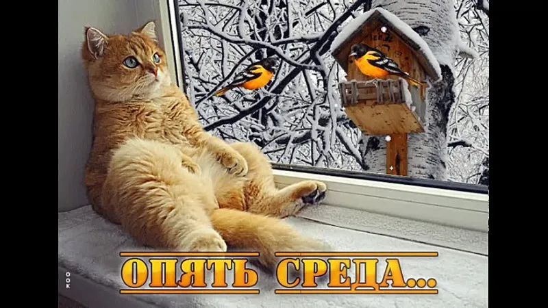 Жду выходных #3