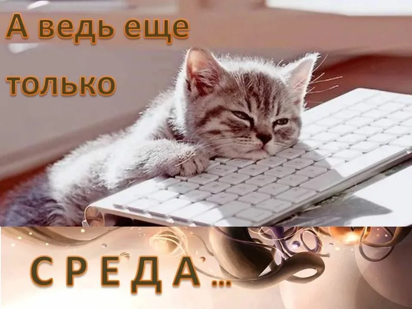 Жду выходных #2