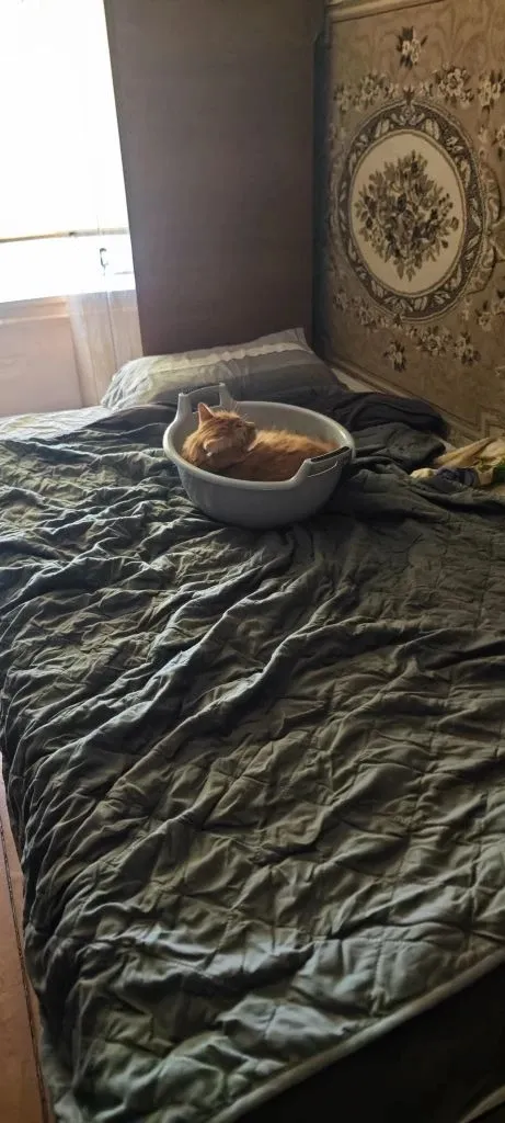 А у нас вот так...))