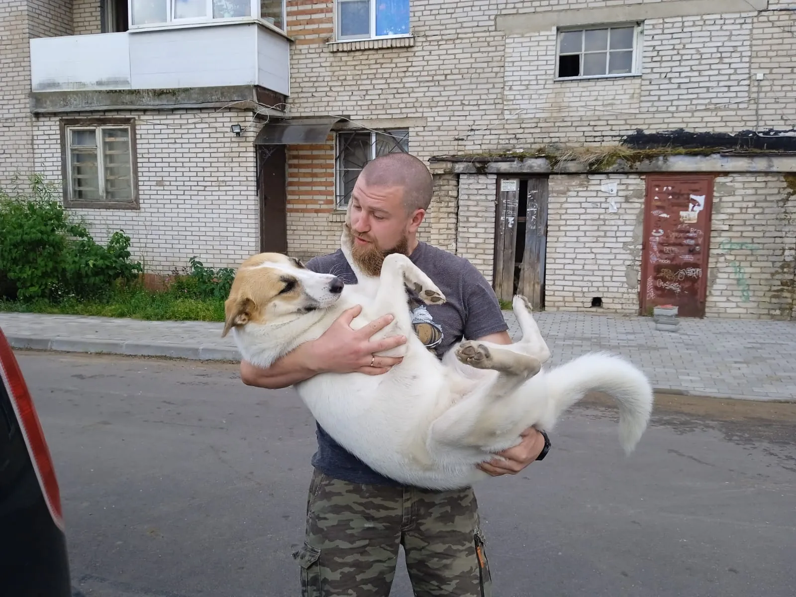 Доброе утро!  #4