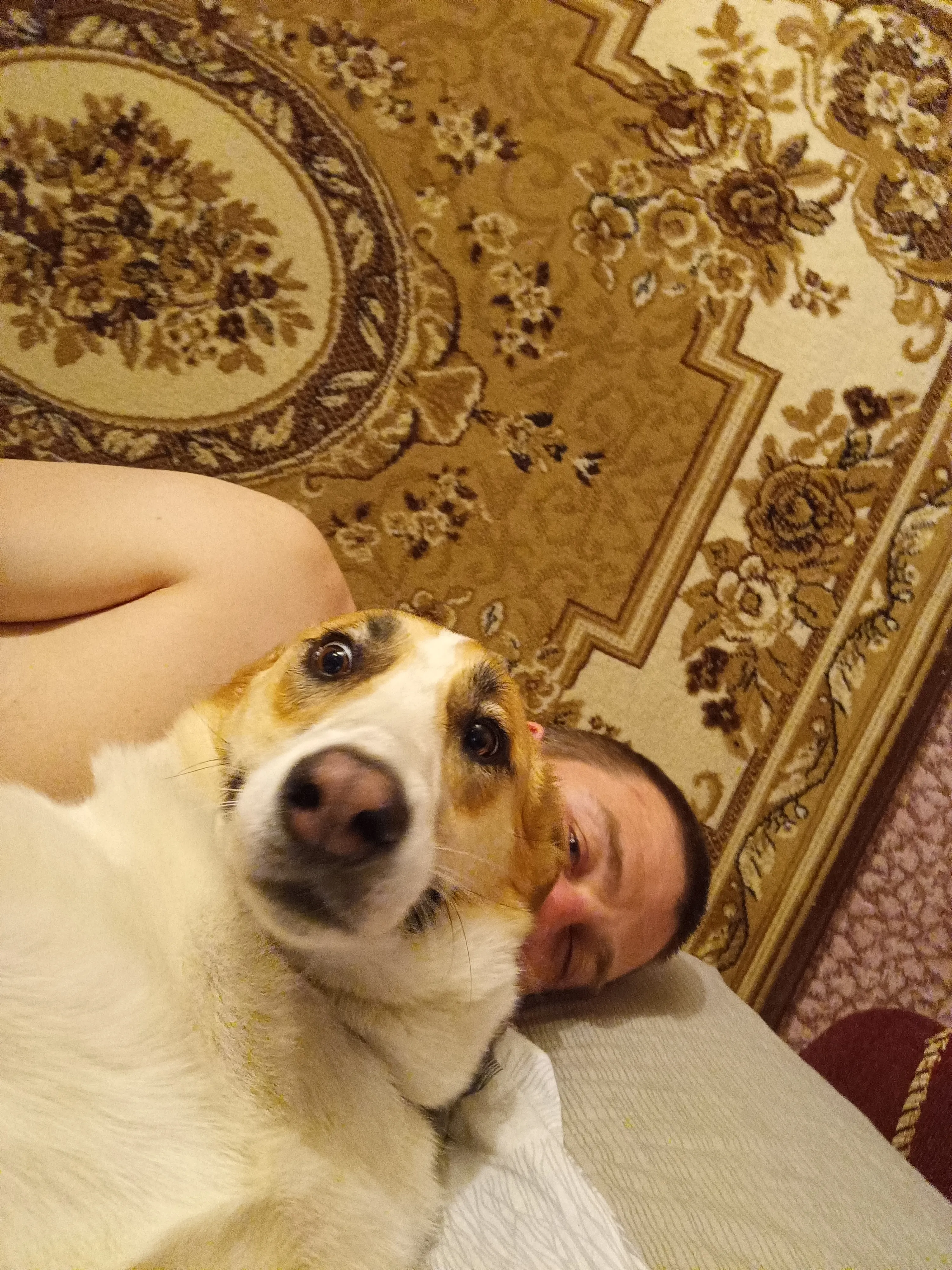 Собака.