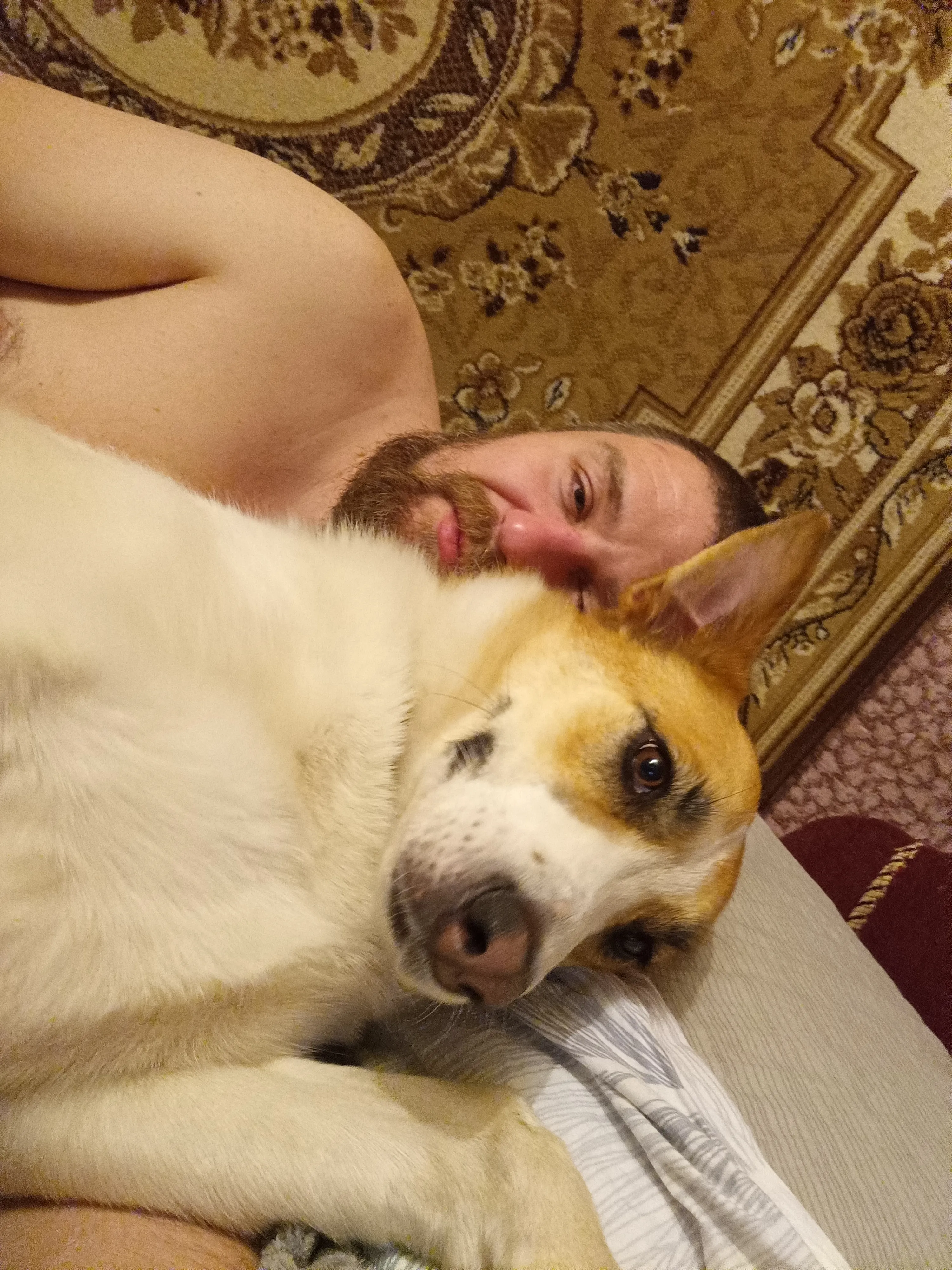 Отжимает подушку, и выталкивает к стене!))