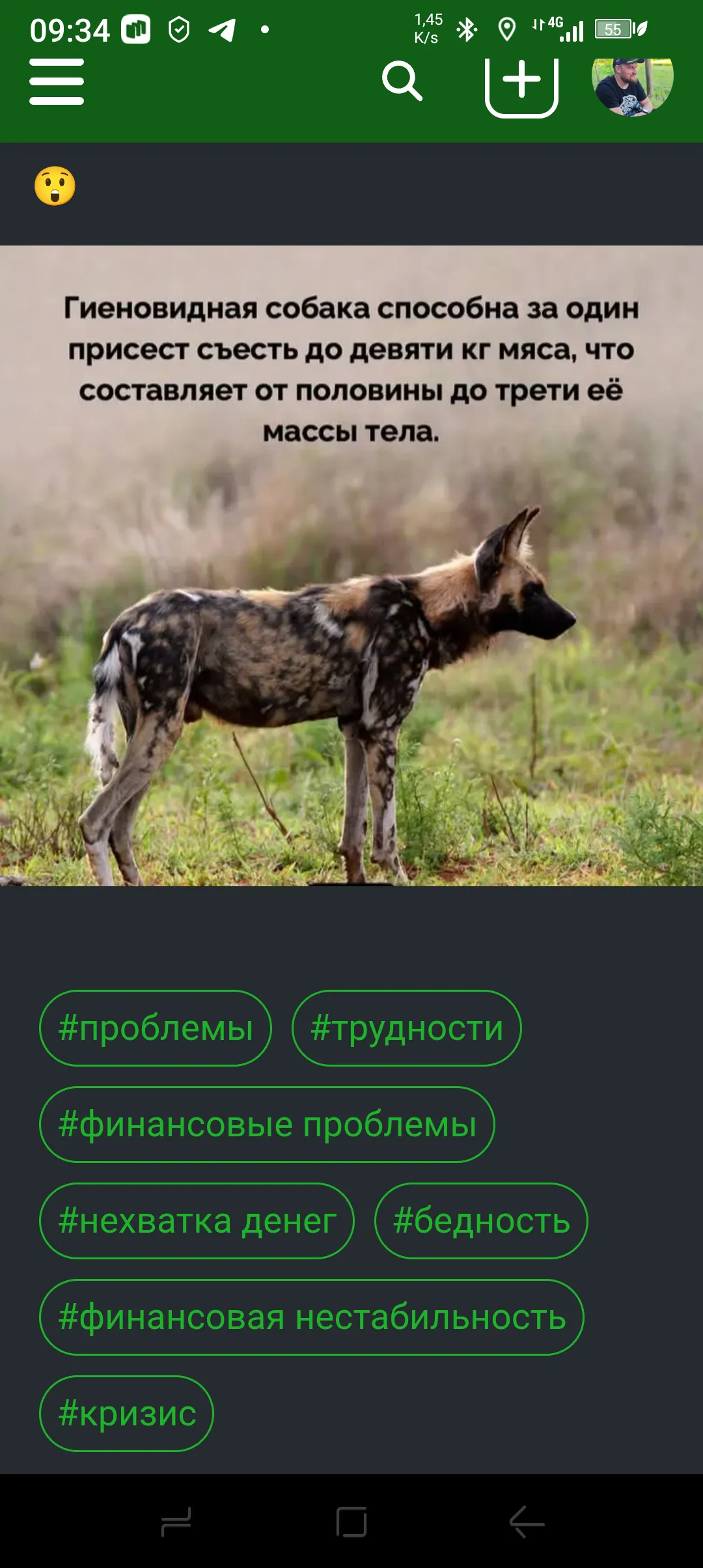 Не прокормить  #2