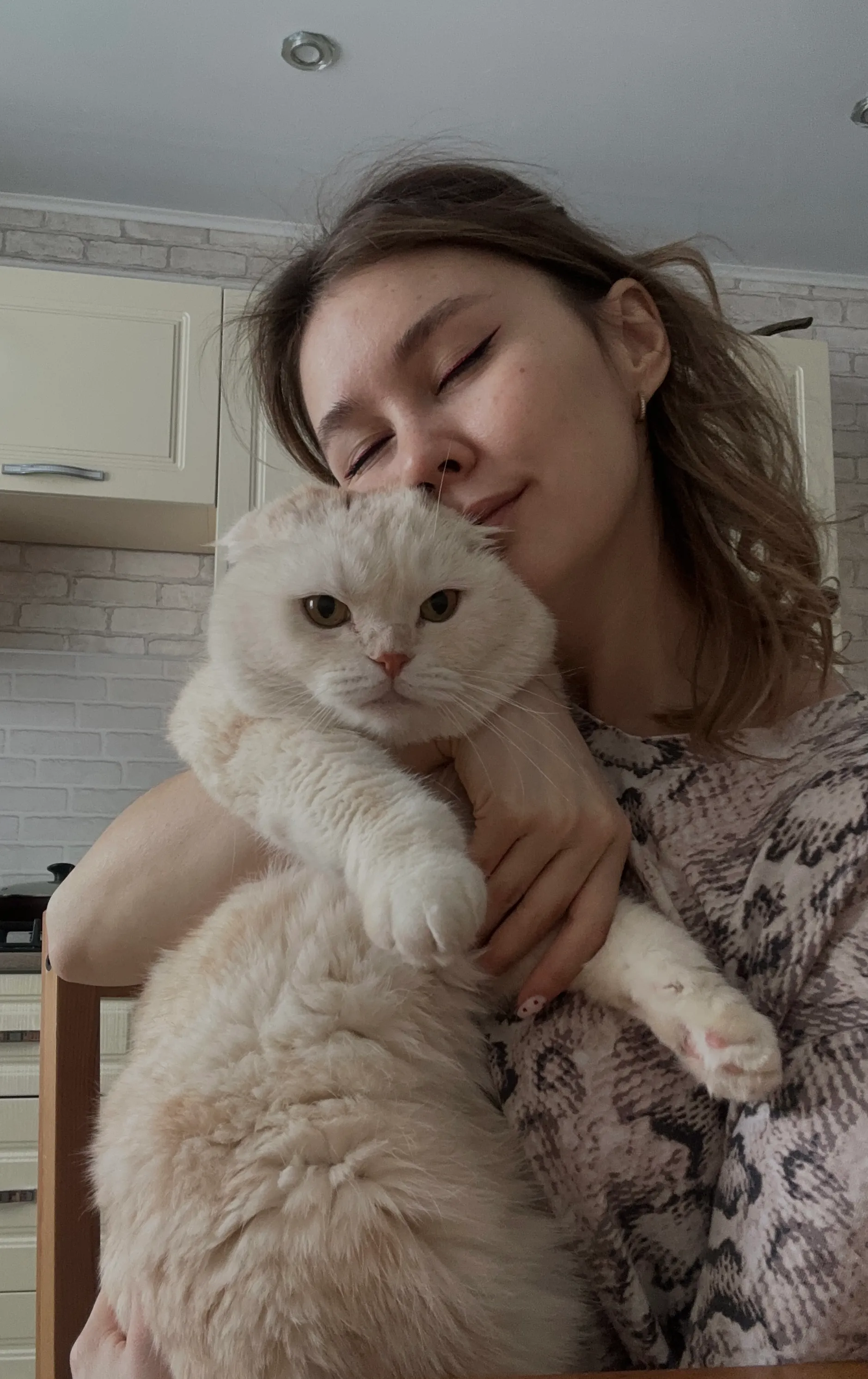 О мне и моем коте Персике #6