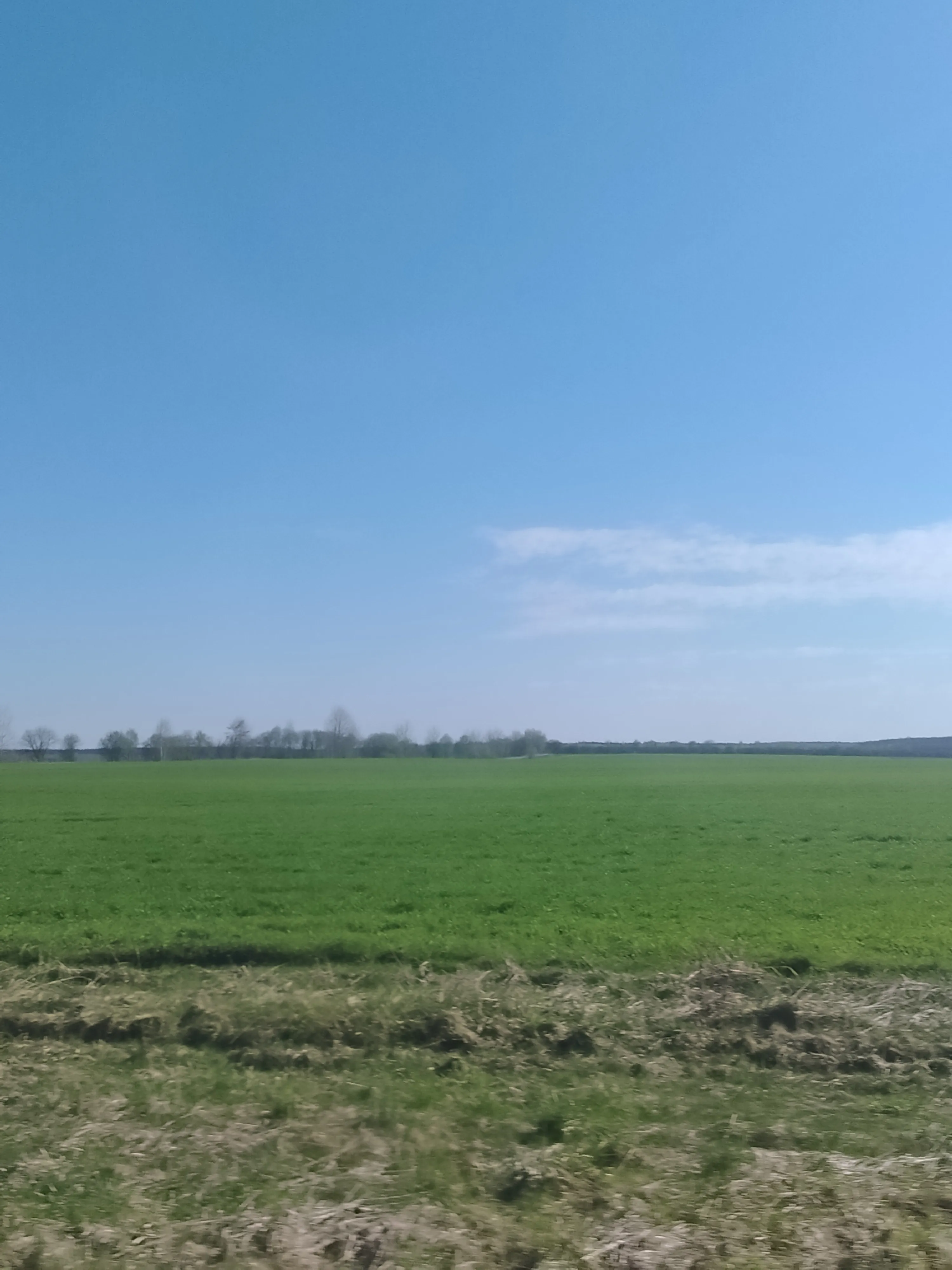 Дорога назад