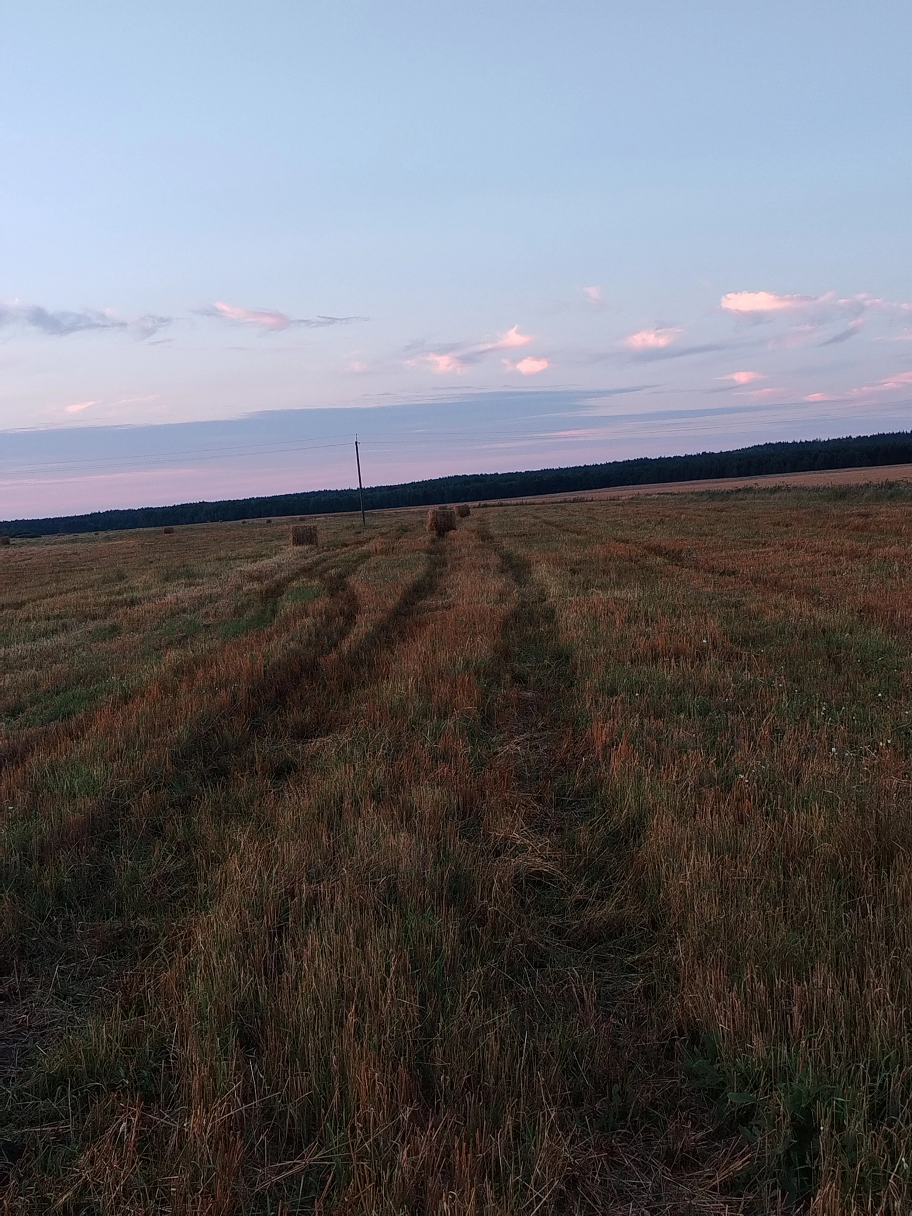 Поле со стогами сена
