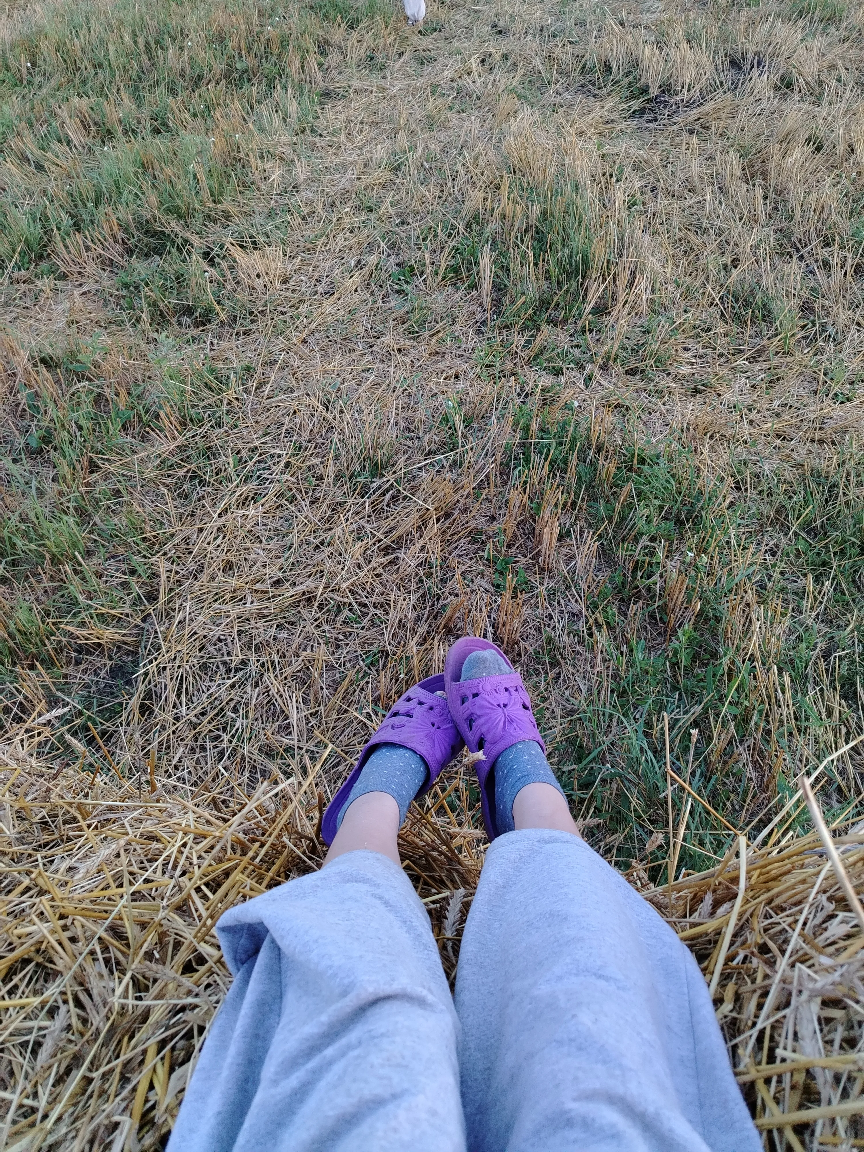  сижу на стоге сена