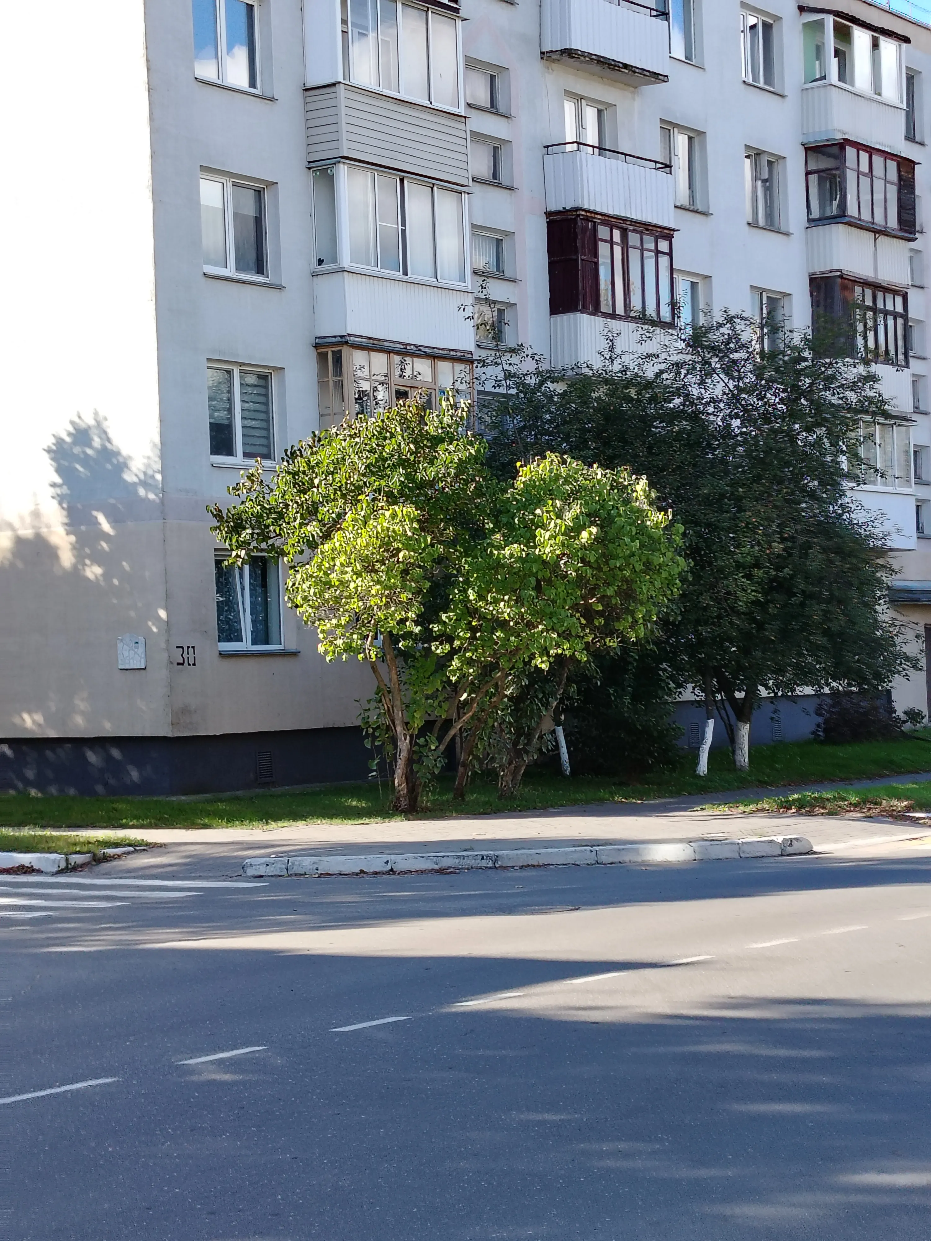Фото за сегодня  #3