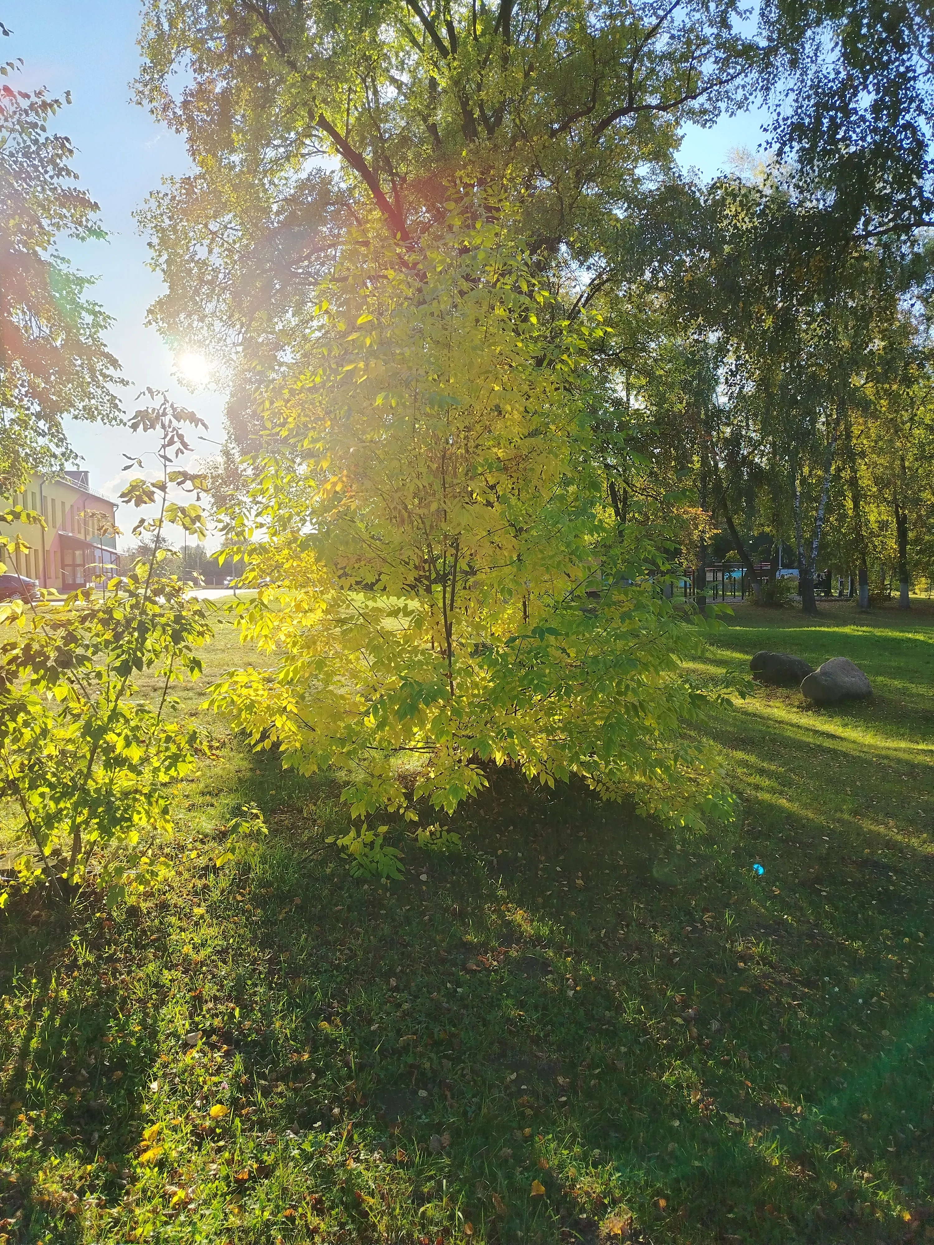 Фото за сегодня  #12