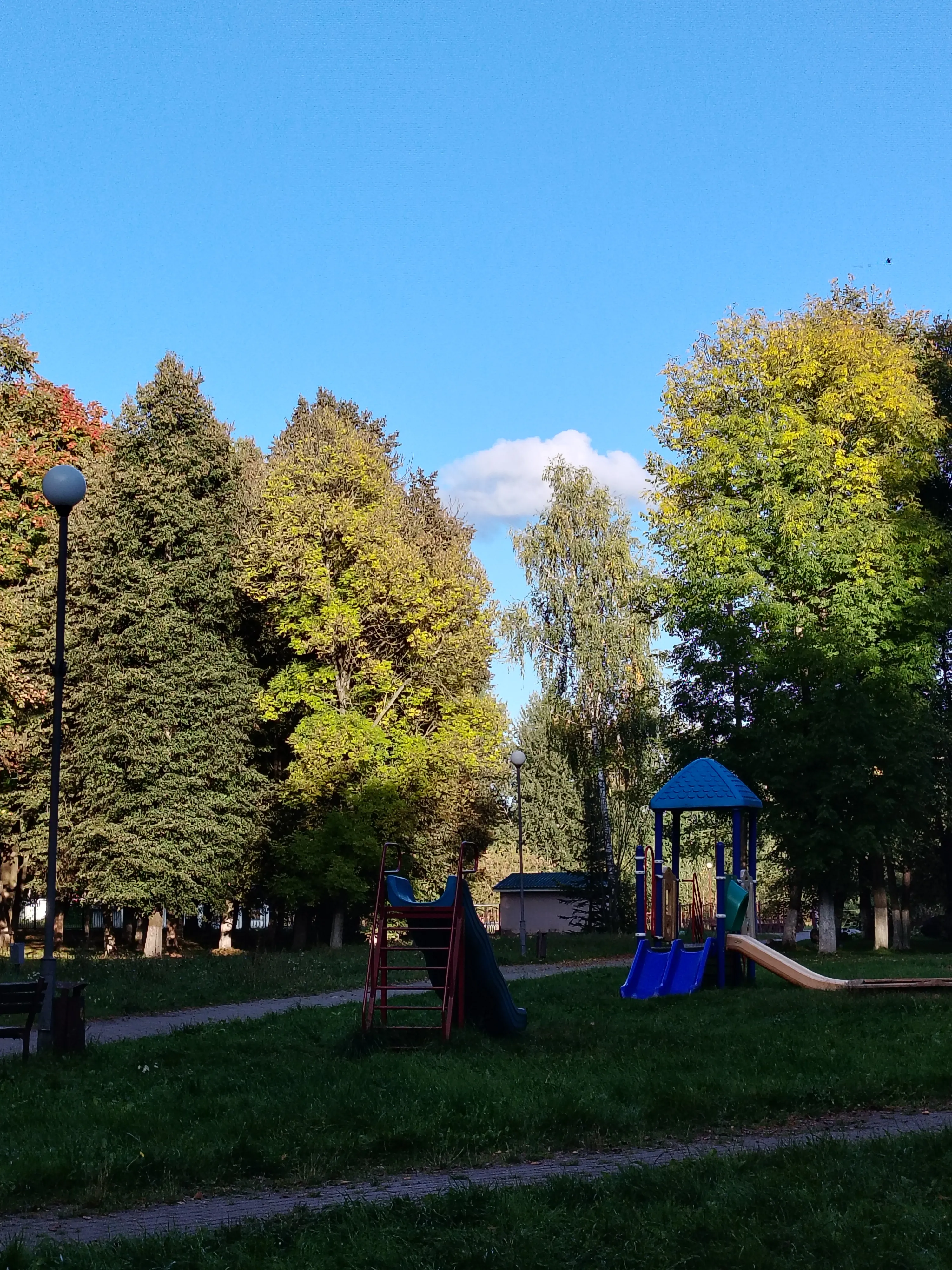 Фото за сегодня  #18