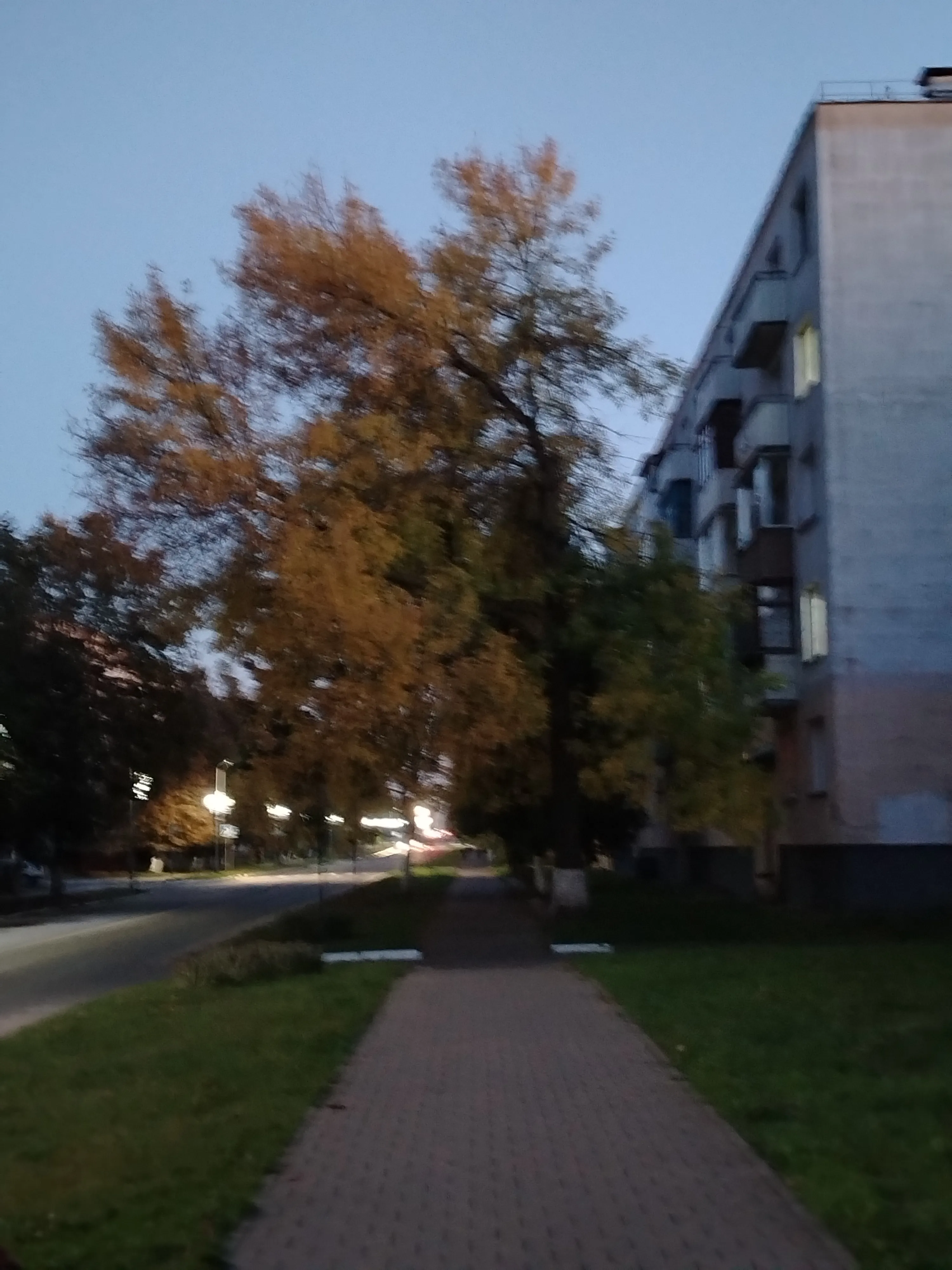 Фото за сегодня  #28