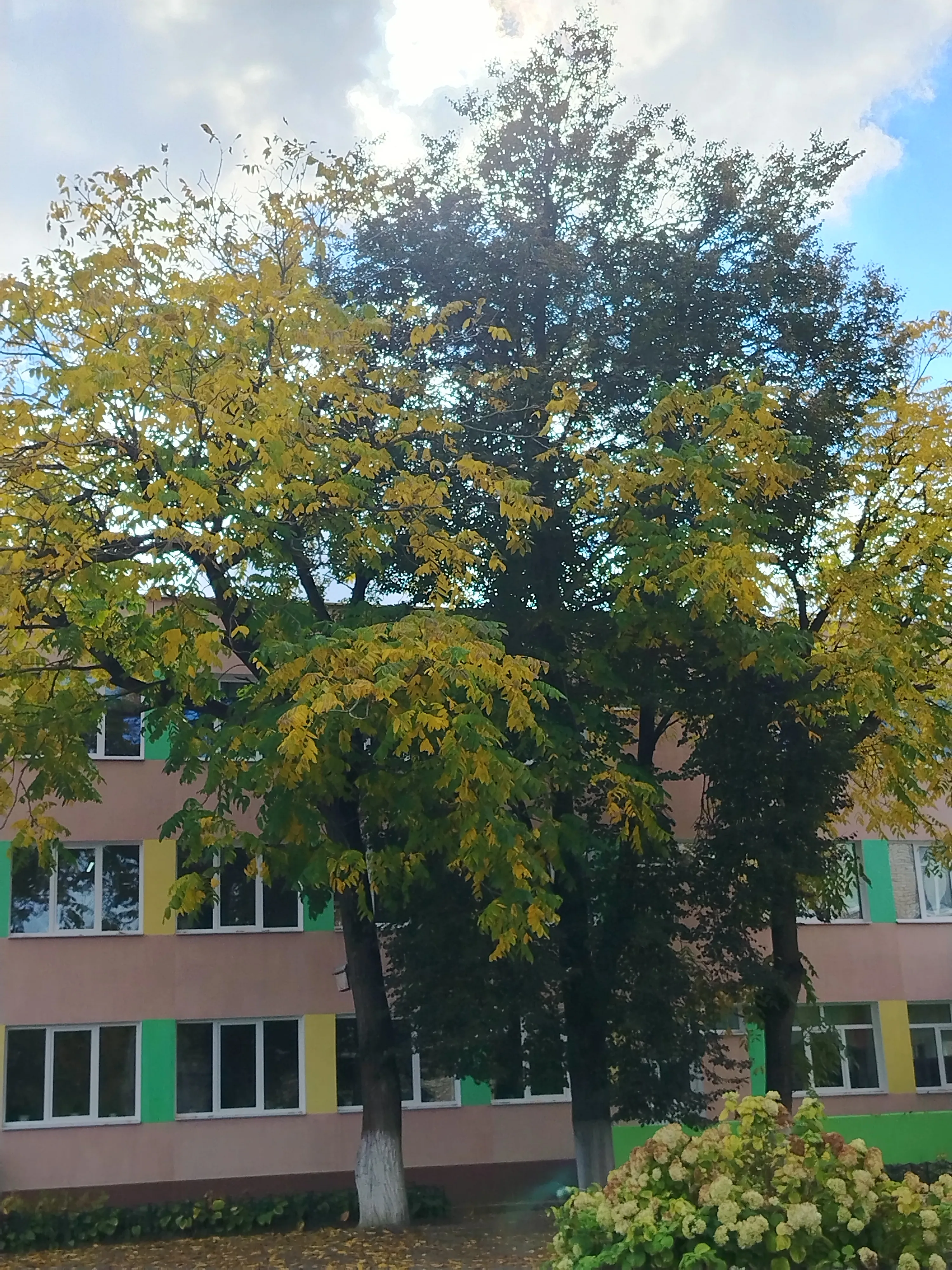 Фото по пути из школы  #3
