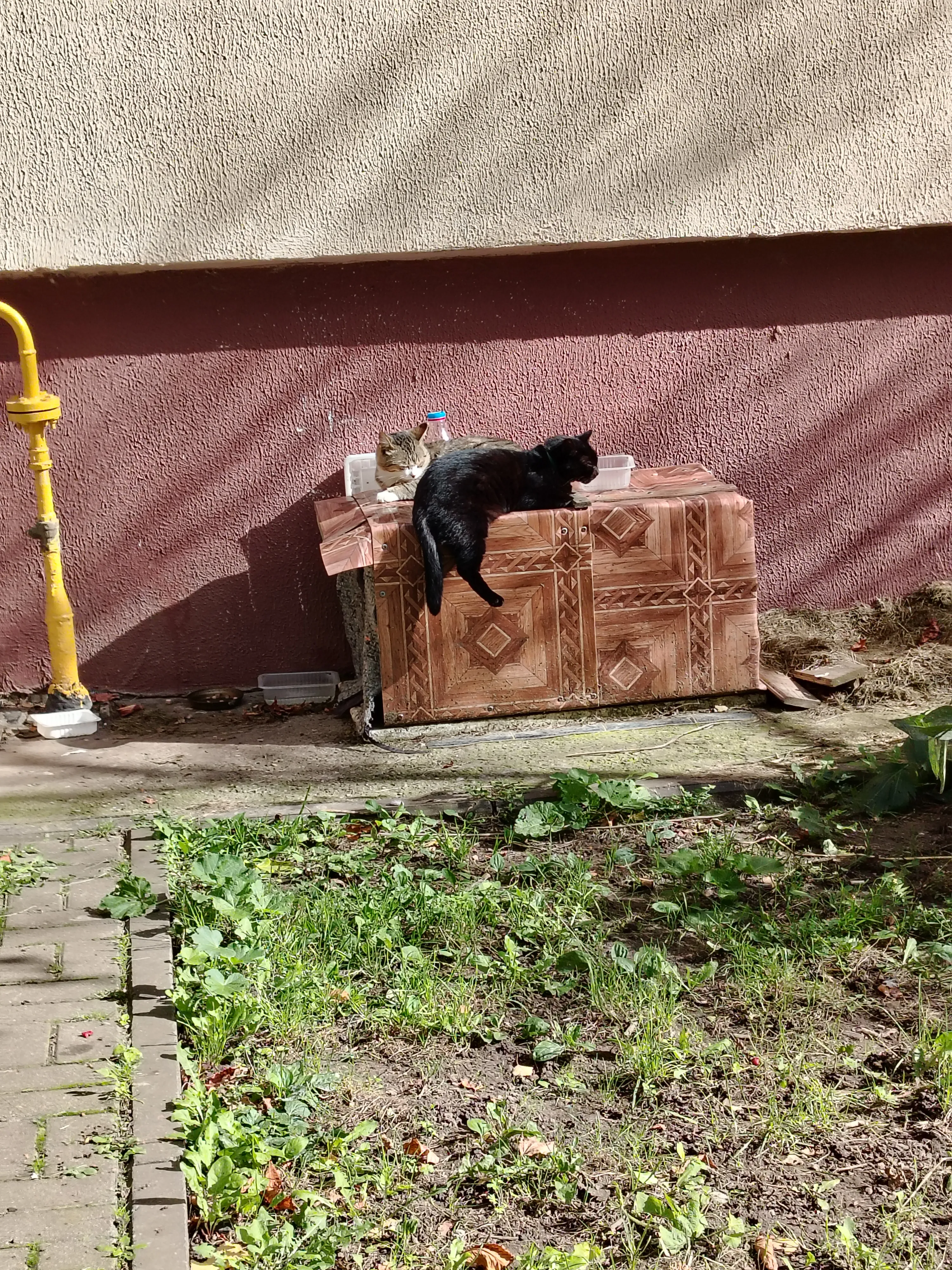 Фото по пути из школы  #16