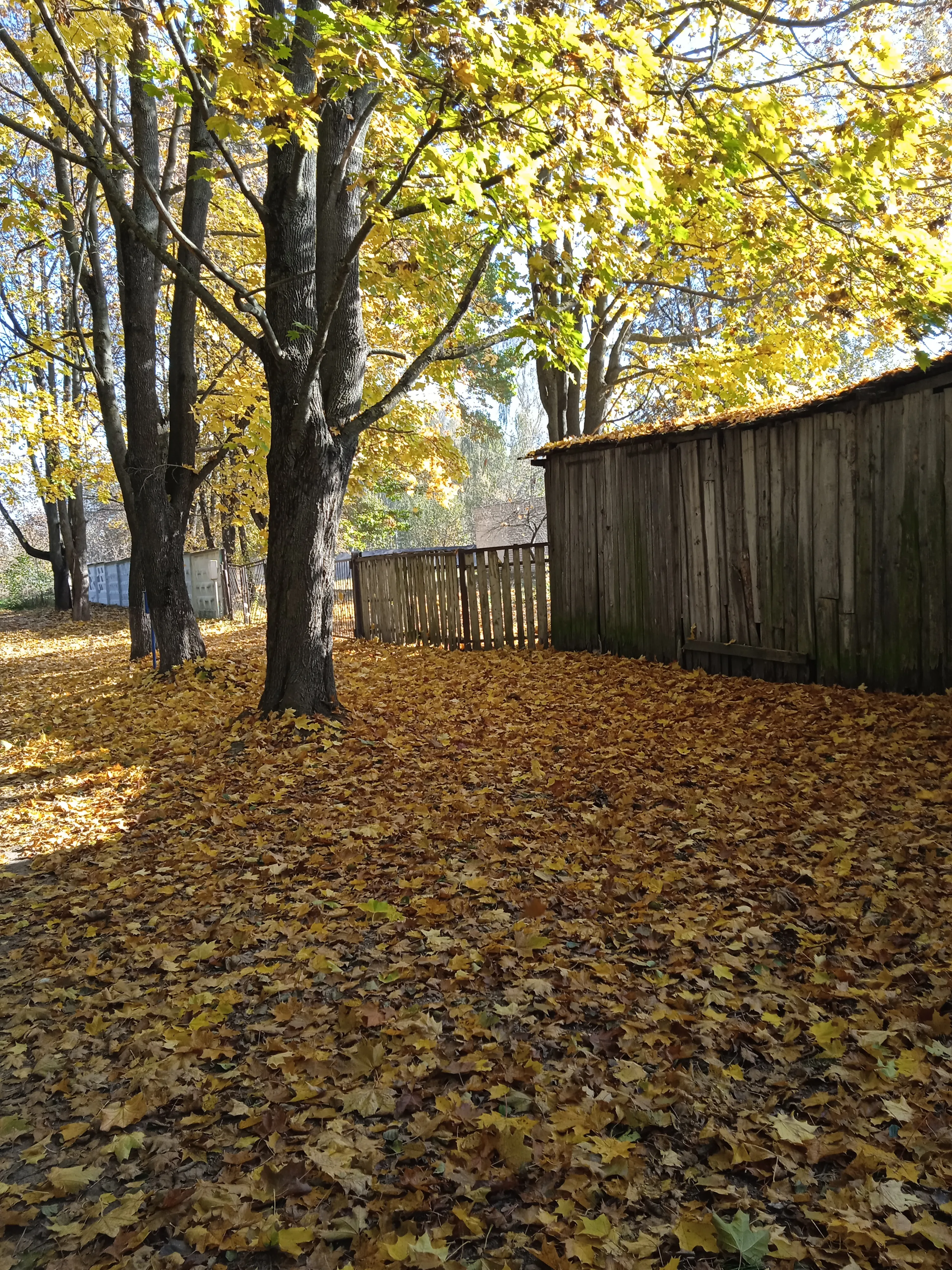 Осень 🍂 #11
