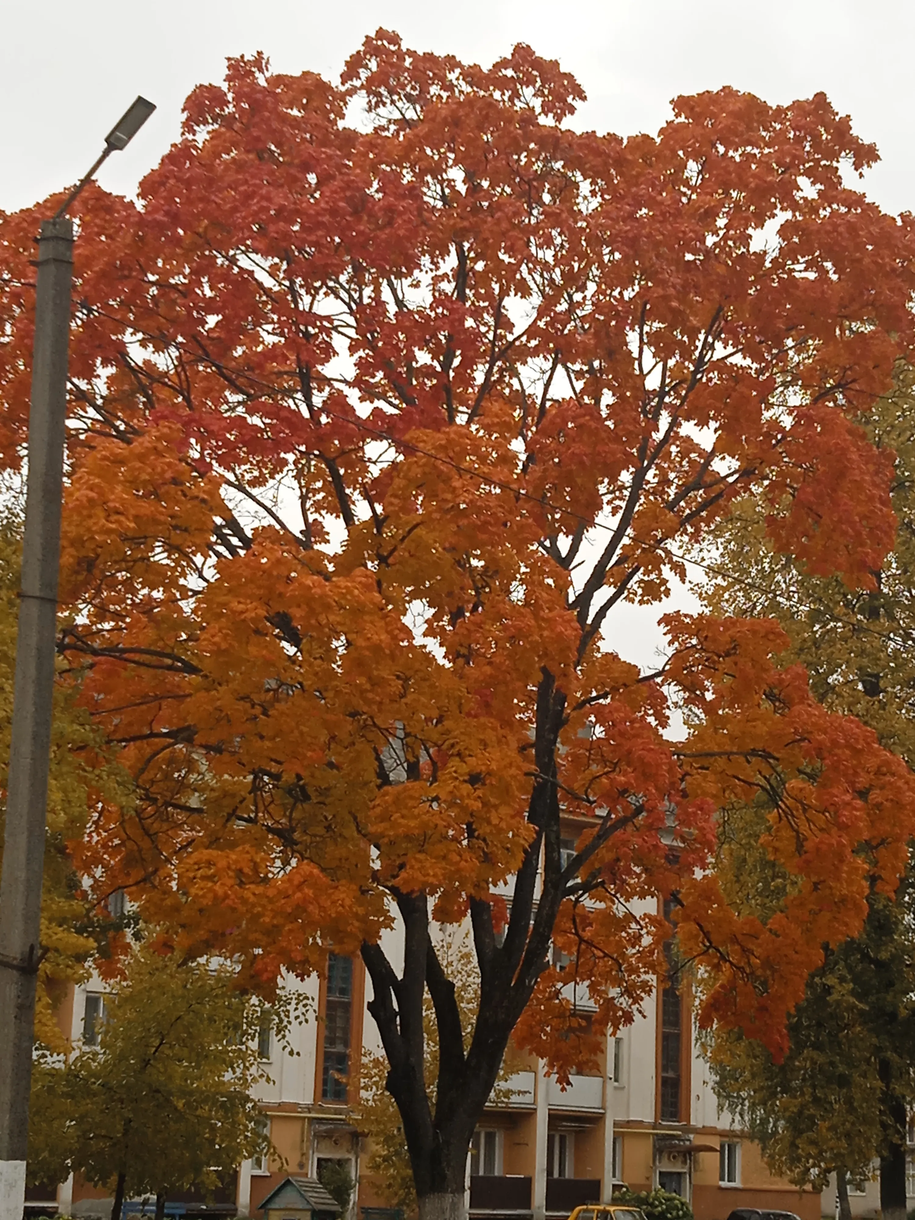 Осень 🍂 #2