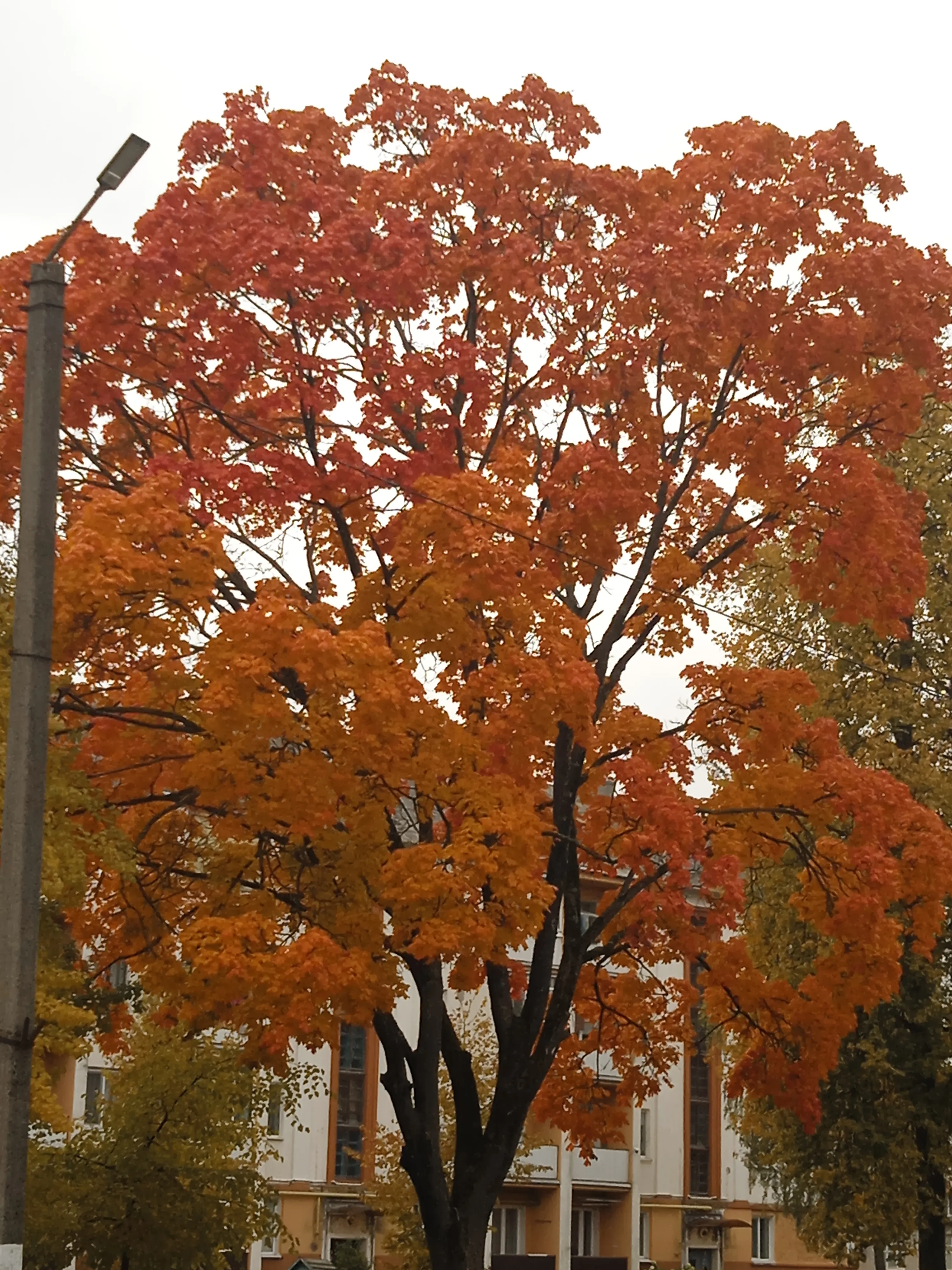 Осень 🍂 #3