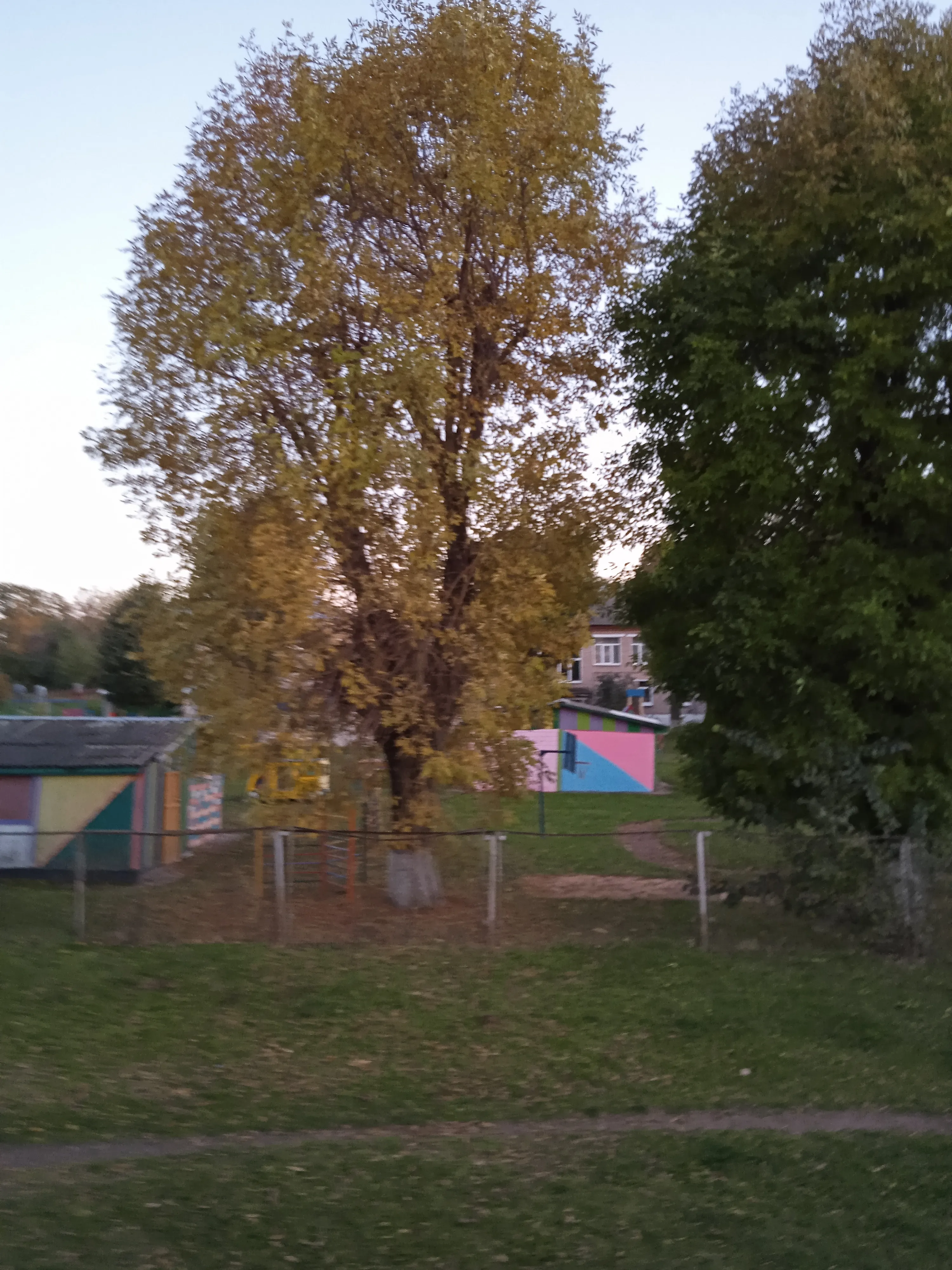 Осень 🍂 #8