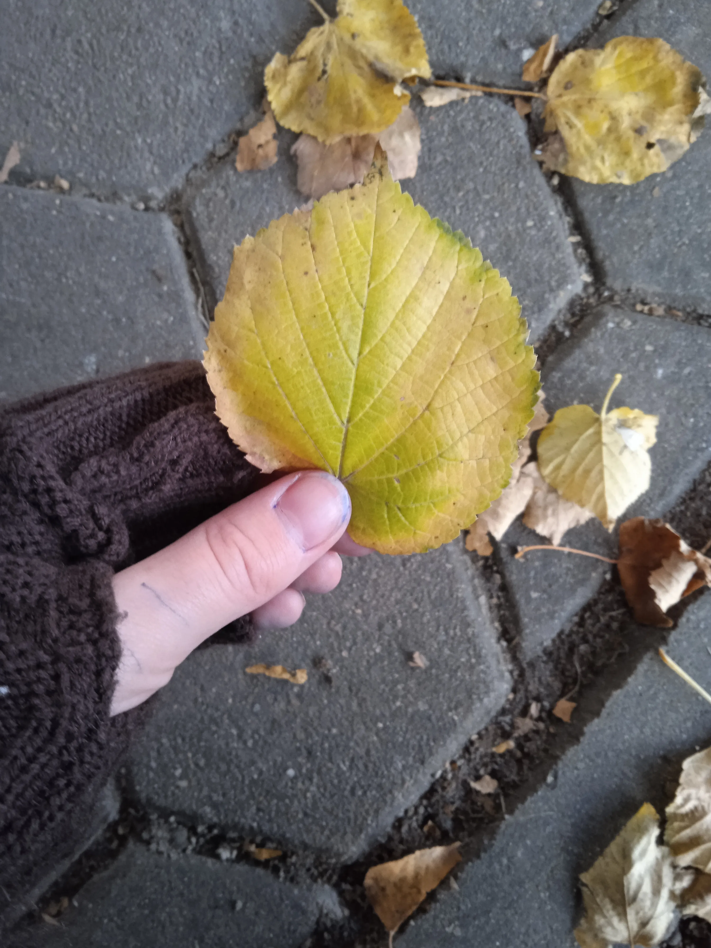 Осень 🍂 #12