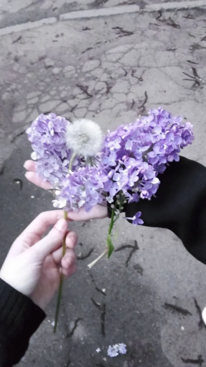 Закат с подругой 🌸 #11