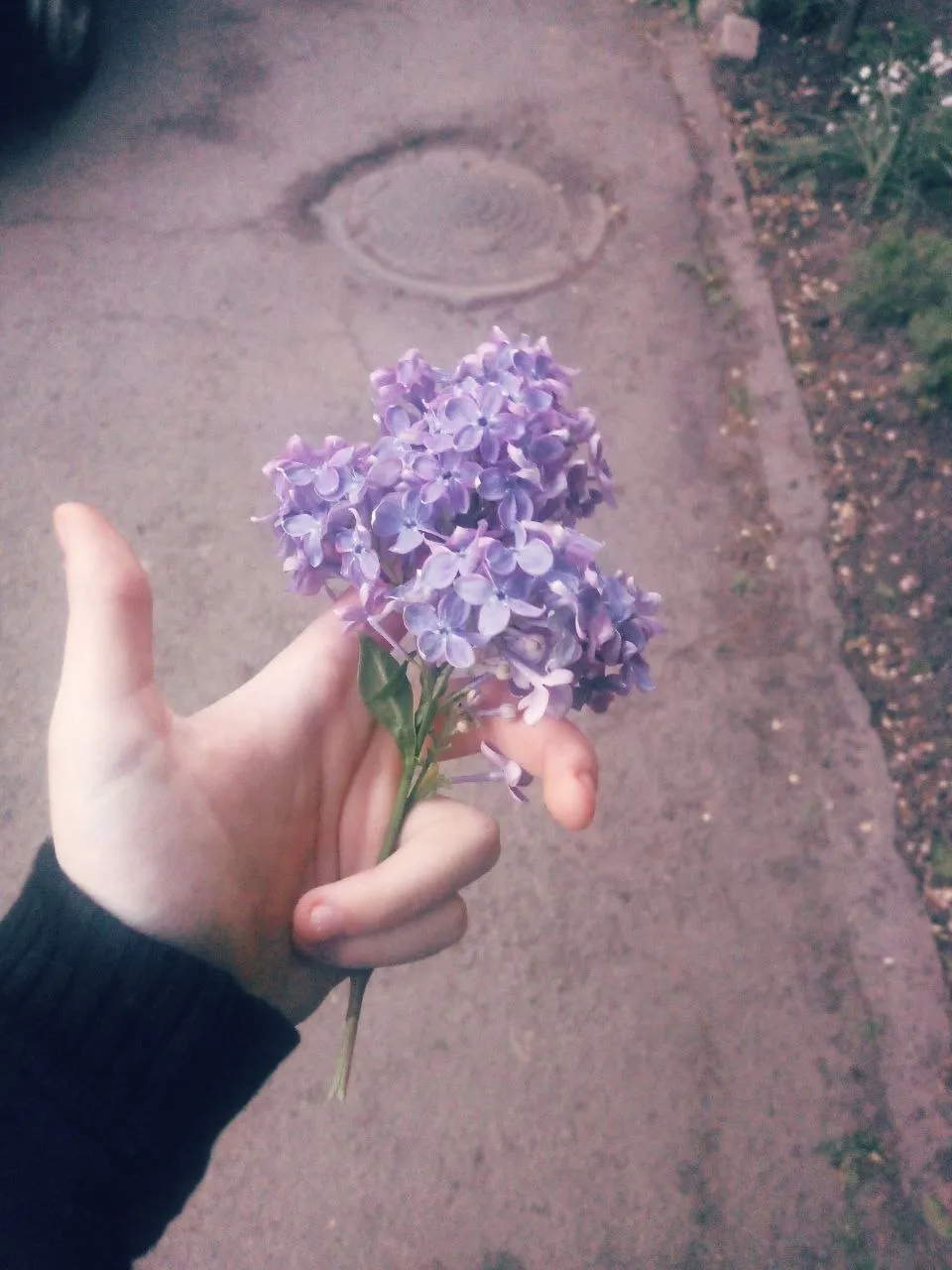 Закат с подругой 🌸 #8