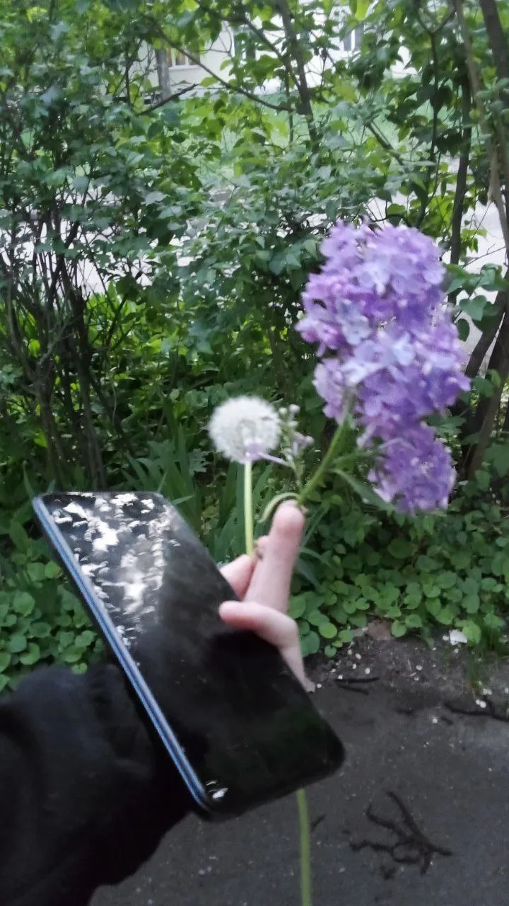 Закат с подругой 🌸 #13