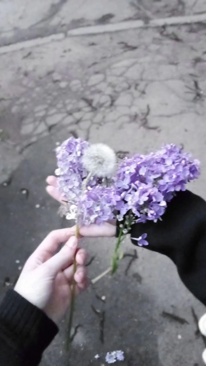 Закат с подругой 🌸 #14
