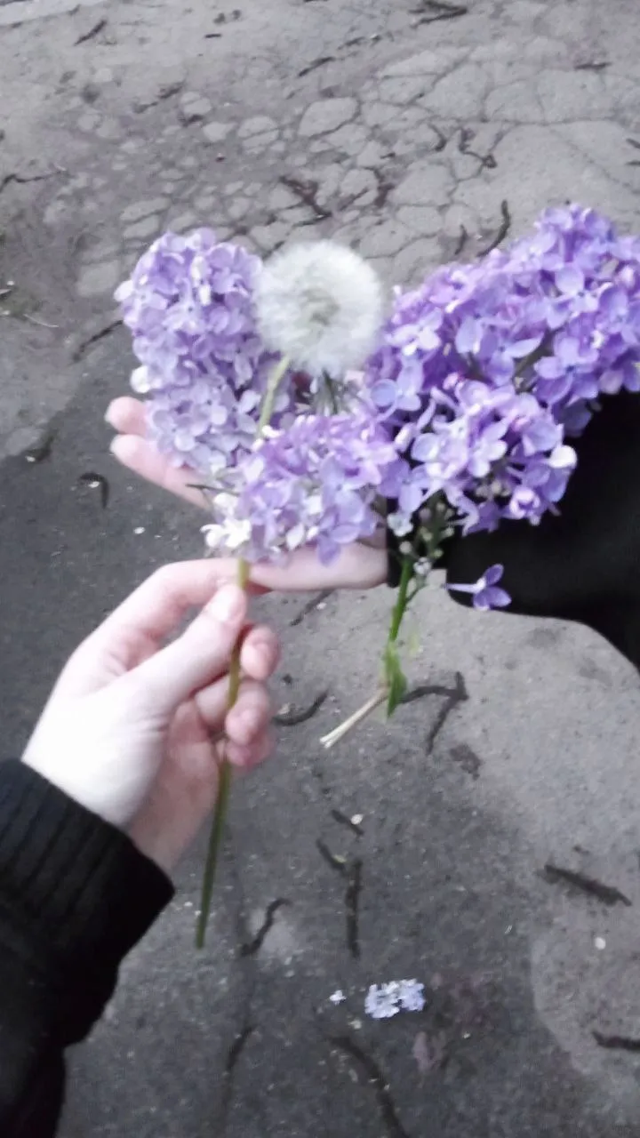 Закат с подругой 🌸 #15