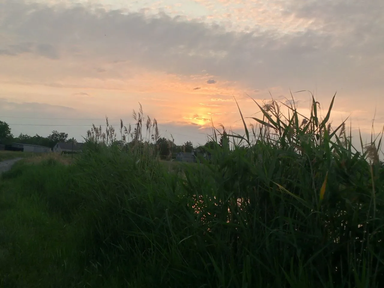 Закат с подругой 🌸 #28