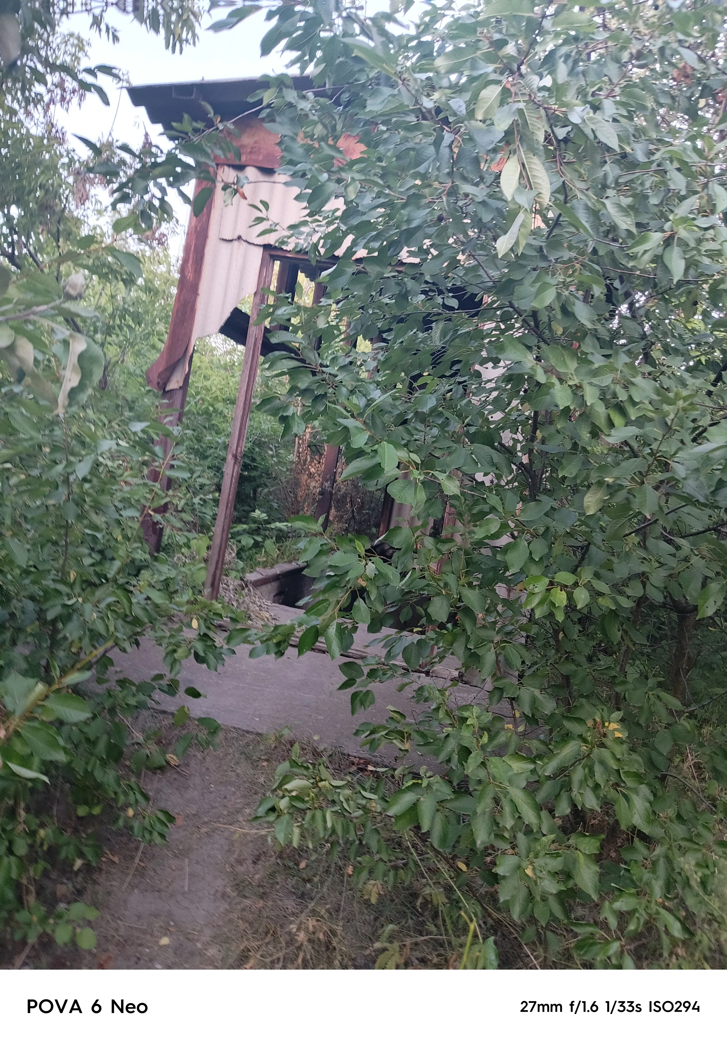 Красота 