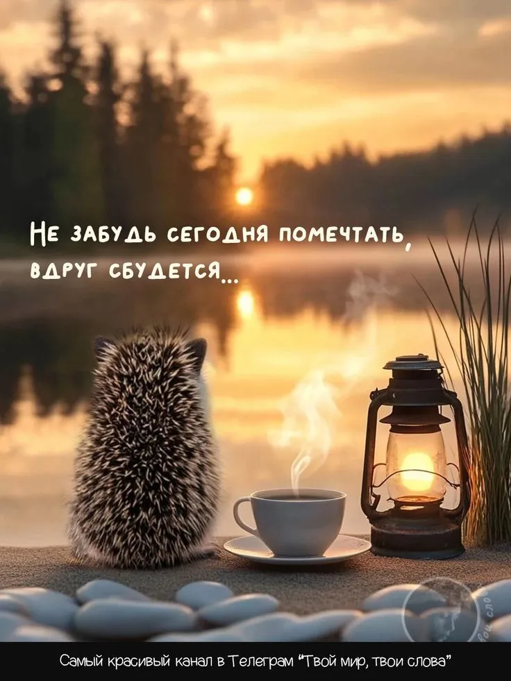 Цитата со смыслом #2