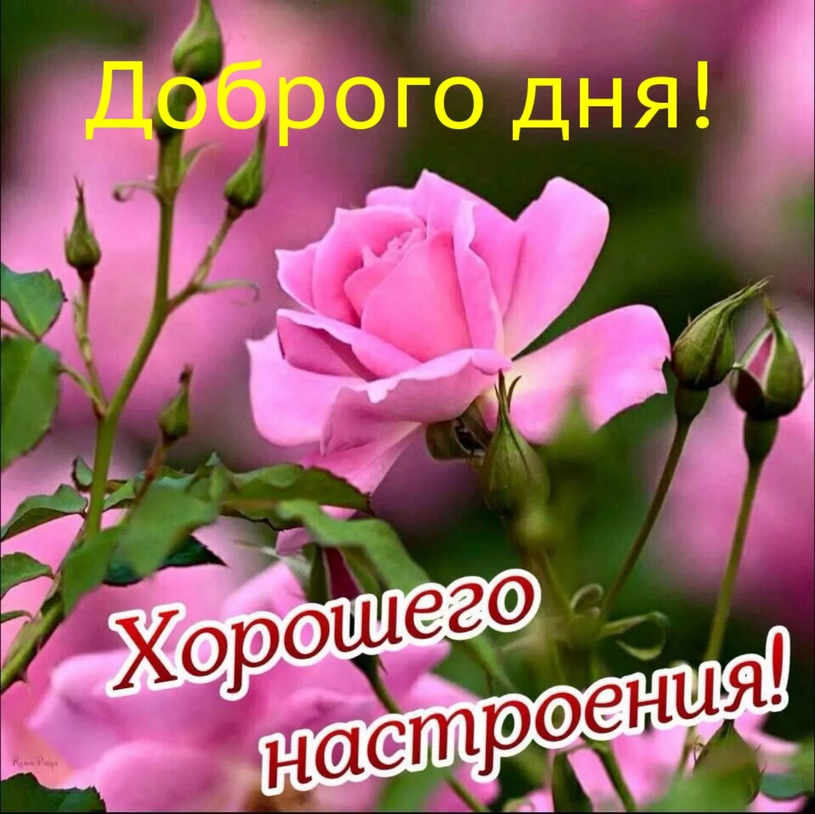 Полезные Советы для Каждодневной Жизни #2