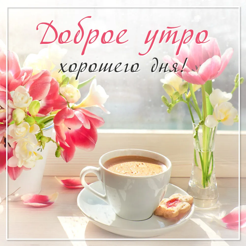 Утро доброе